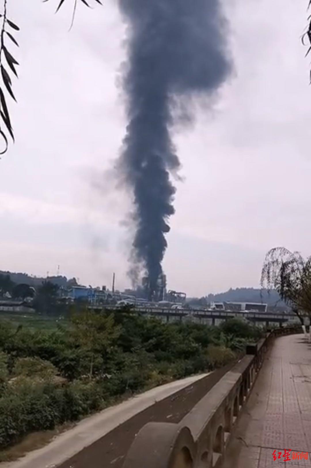 365st燃油锅炉管道安装视频，手把手教你装出教科书级的管路系统
