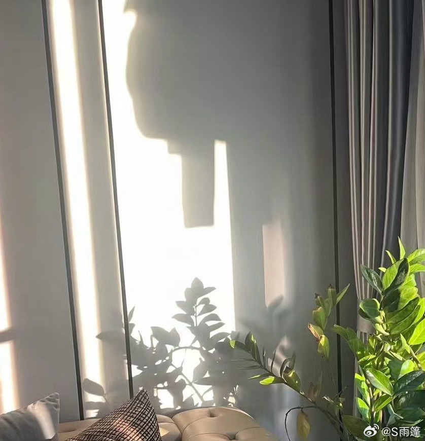 365贺子的第一个视频，那个手忙脚乱的清晨，如何成了千万人心里的一束光
