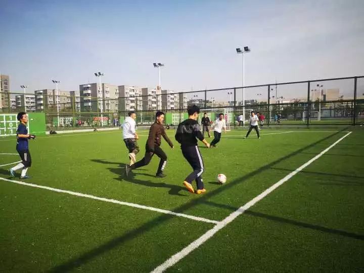 乌克兰足球教练，引领东欧绿荫的战术大师
